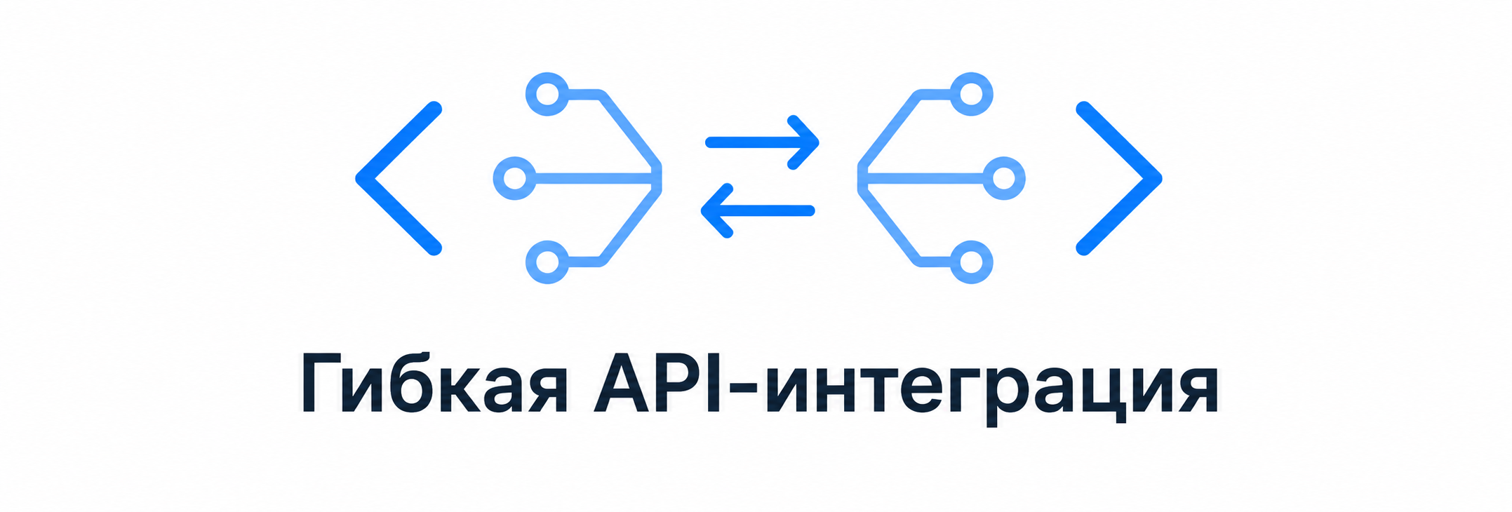 Гибкая API-интеграция
